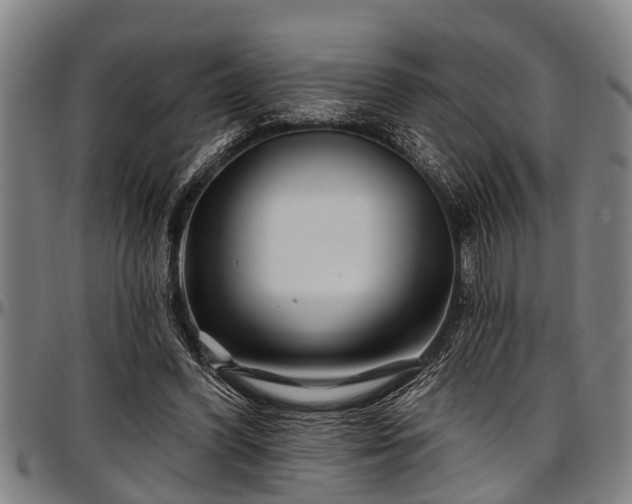 X0000097470396200802291316