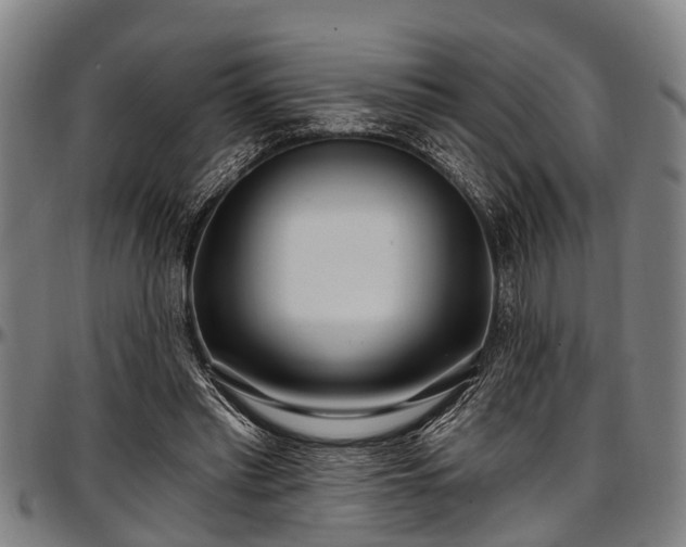 X0000097470397200802291316
