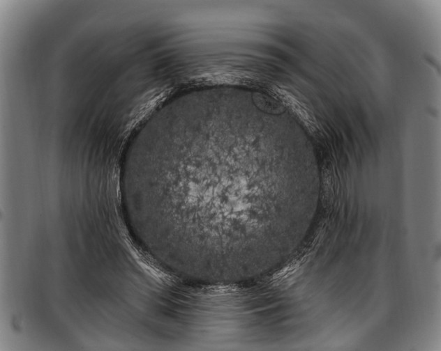 X0000097470398200802291316