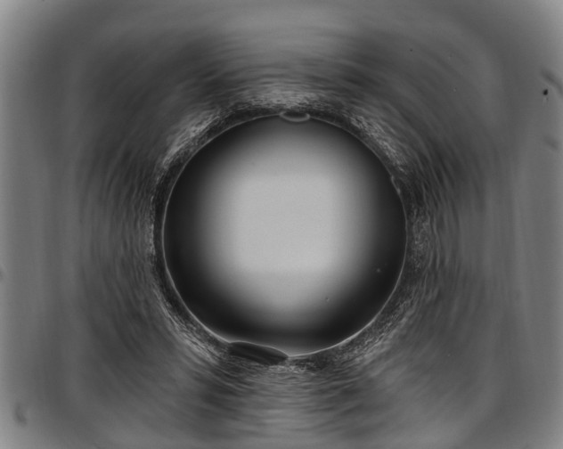 X0000097470399200802291316