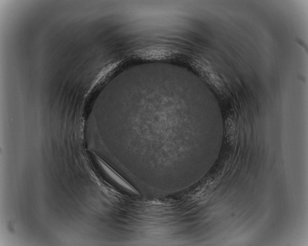 X0000097470400200802291316