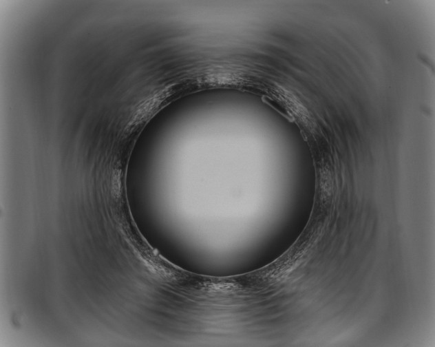 X0000097470401200802291316