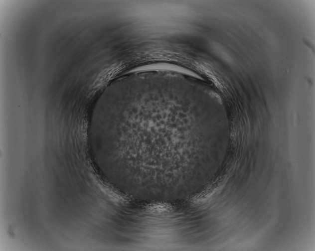 X0000097470402200802291316
