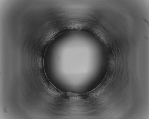 X0000097470403200802291316
