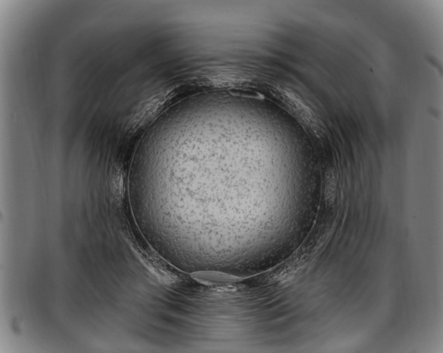 X0000097470405200802291316