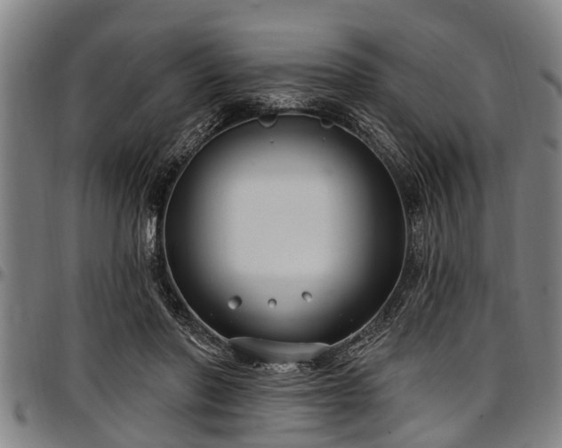 X0000097470406200802291316