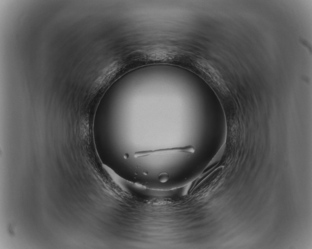 X0000097470407200802291316