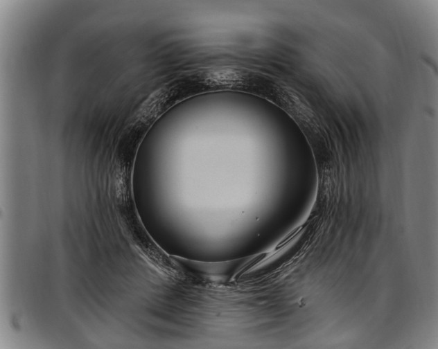 X0000097470408200802291316