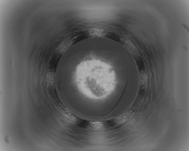 X0000097470409200802291316