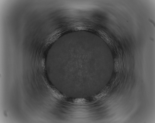 X0000097470410200802291316