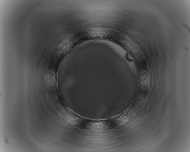 X0000097470411200802291316