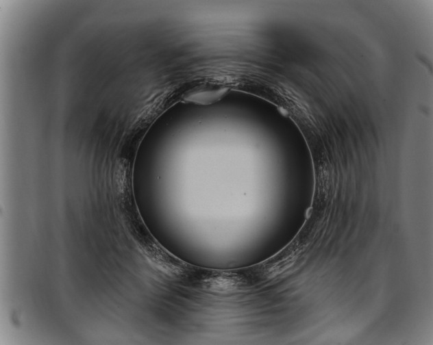 X0000097470412200802291316