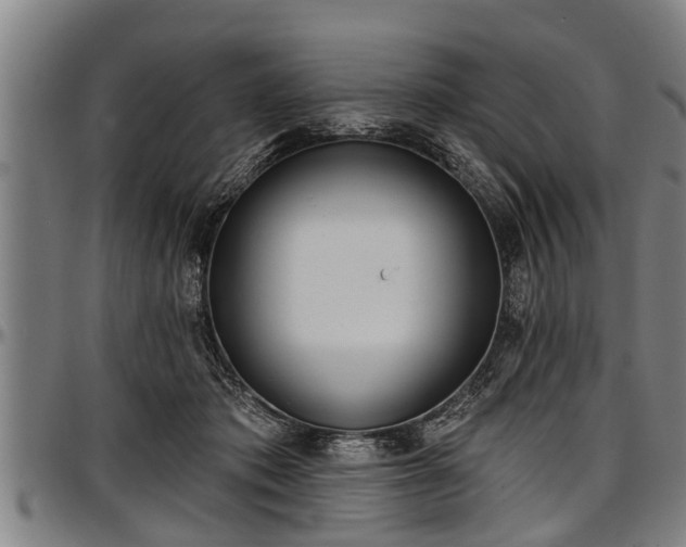 X0000097470413200802291316