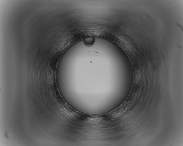X0000097470414200802291316
