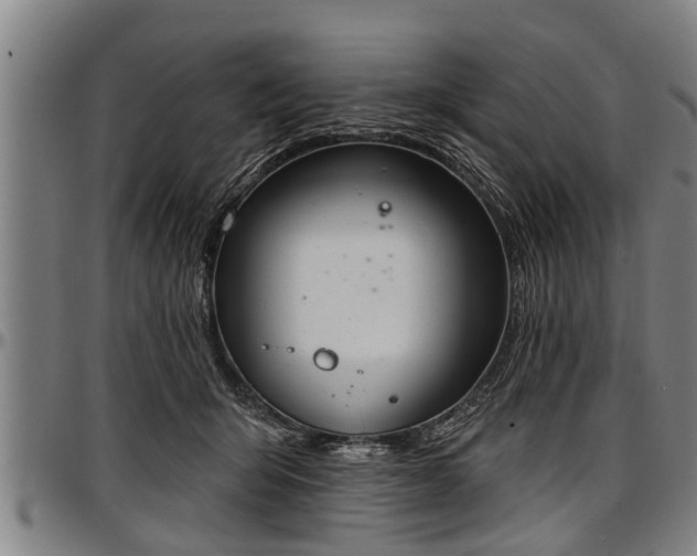 X0000097470415200802291316