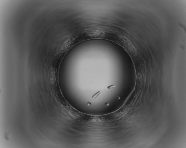 X0000097470416200802291316