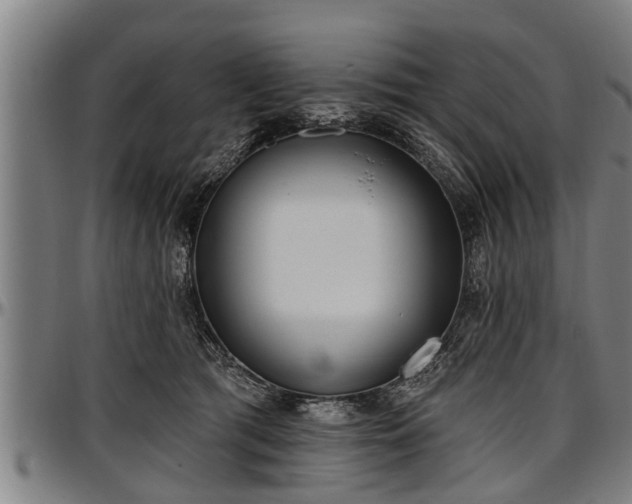 X0000097470417200802291316