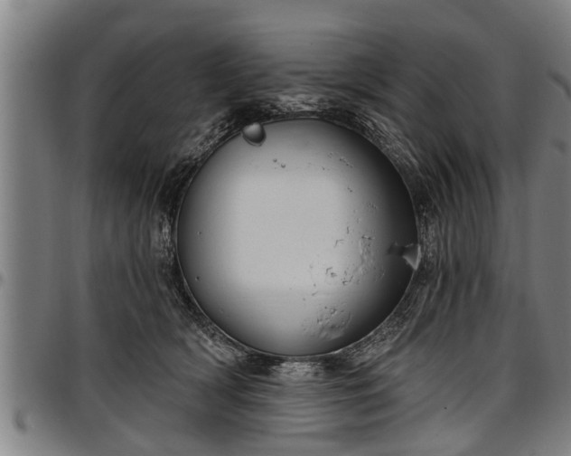 X0000097470418200802291316