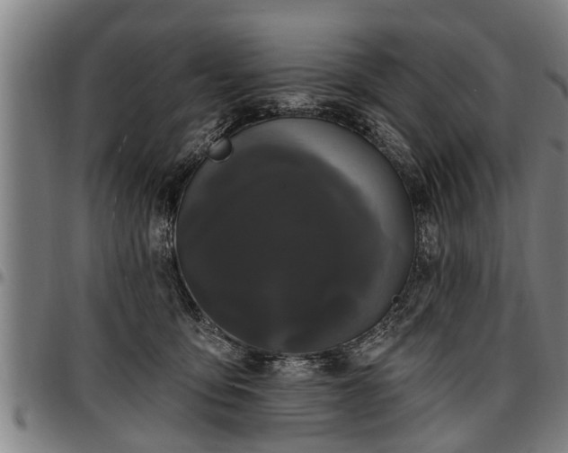 X0000097470419200802291316