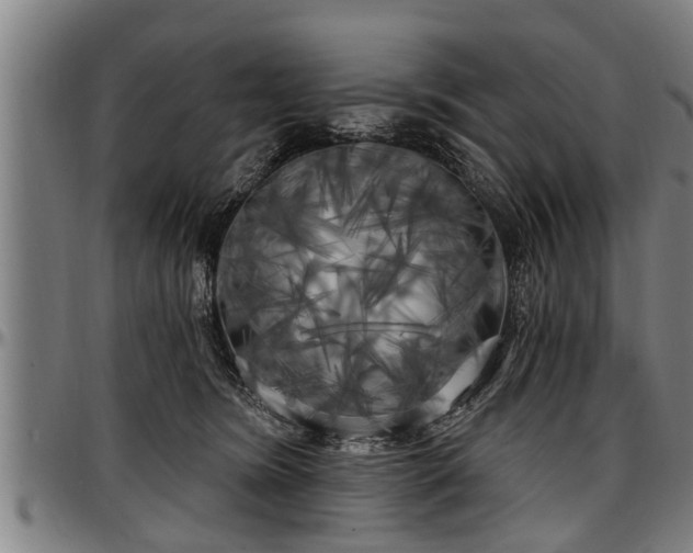 X0000097470420200802291316