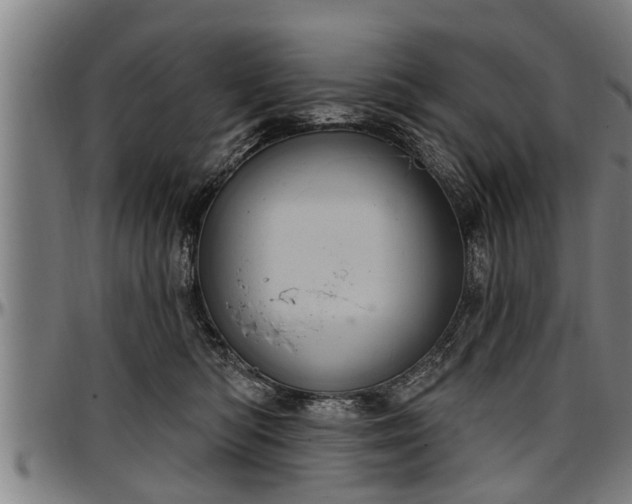 X0000097470422200802291316