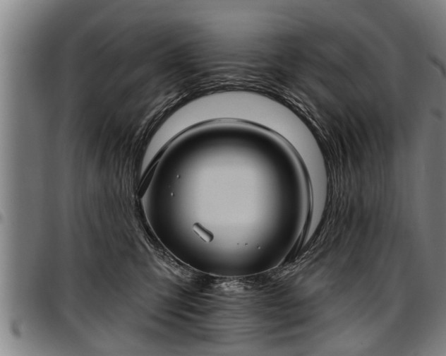 X0000097470423200802291316