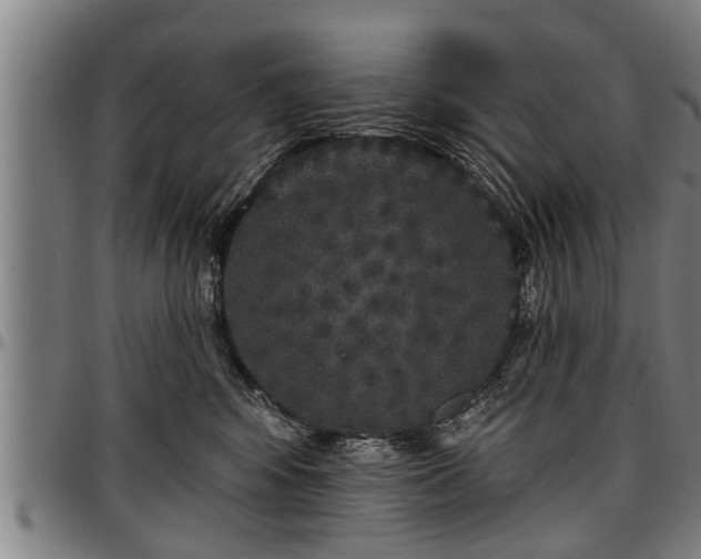 X0000097470424200802291315