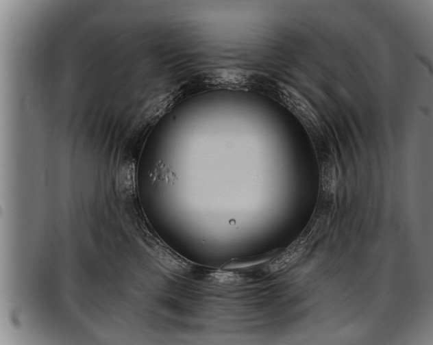 X0000097470425200802291315