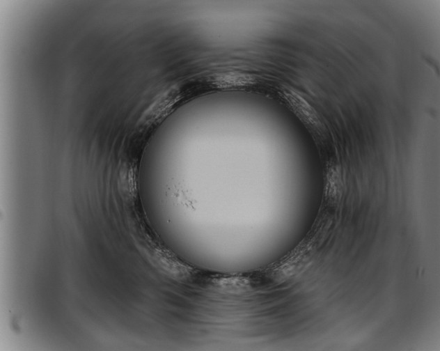 X0000097470426200802291315
