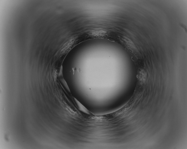 X0000097470428200802291315