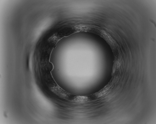 X0000097470429200802291315
