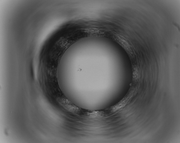 X0000097470430200802291315