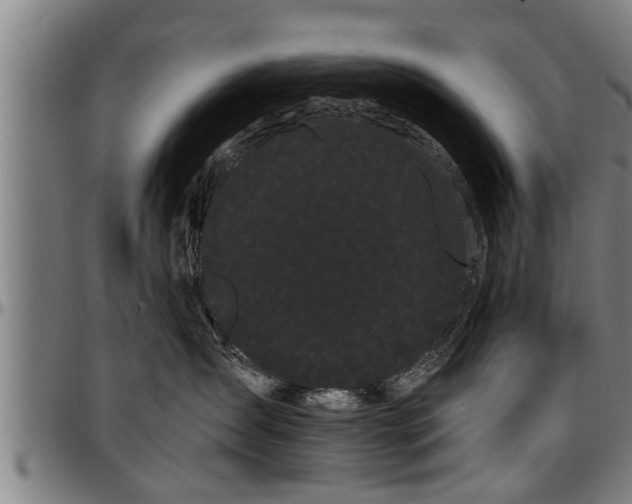 X0000097470431200802291315