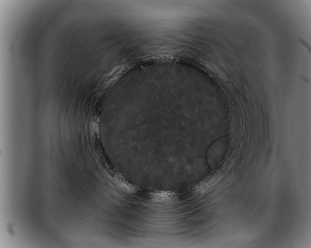 X0000097470432200802291315