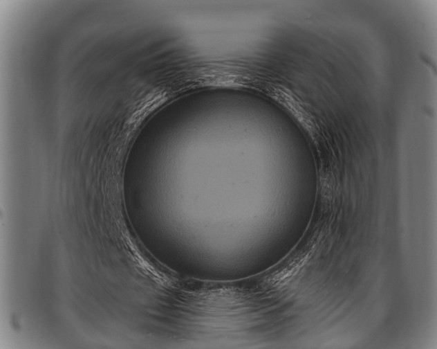 X0000097470433200802291315