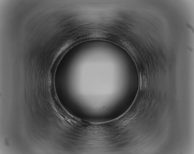 X0000097470435200802291315