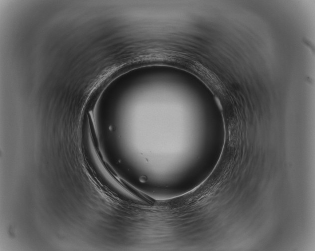 X0000097470436200802291315