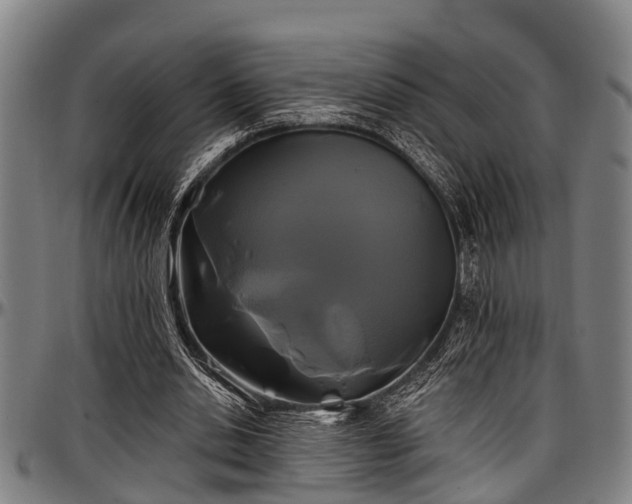 X0000097470438200802291315