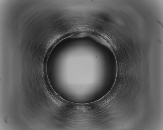 X0000097470439200802291315