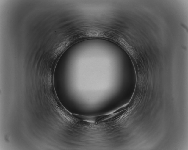 X0000097470441200802291315