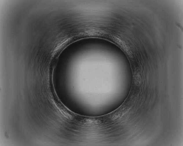 X0000097470442200802291315