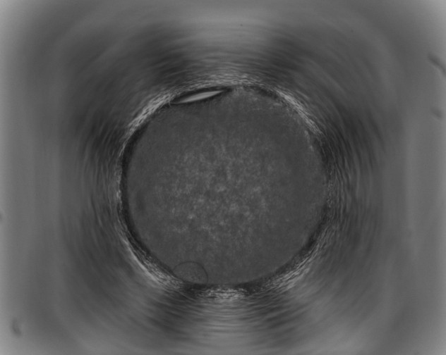 X0000097470443200802291315