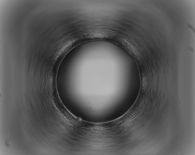 X0000097470444200802291315