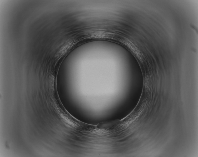 X0000097470445200802291315