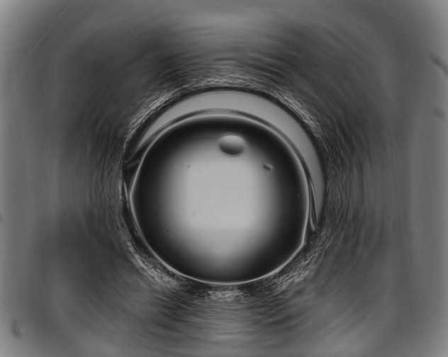 X0000097470446200802291315