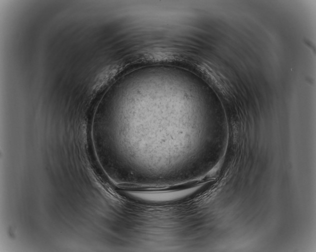 X0000097470447200802291315