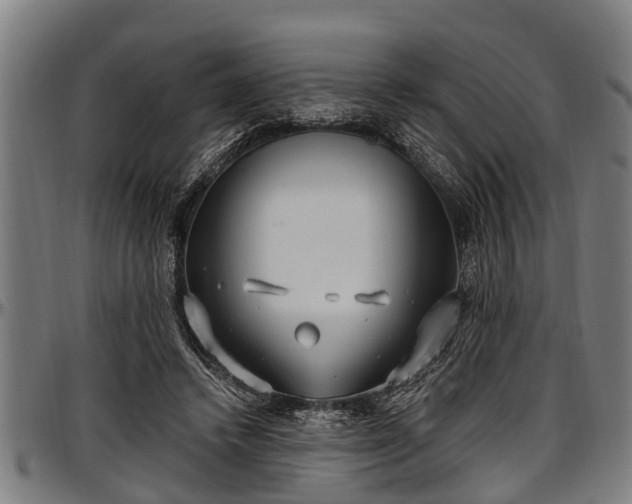 X0000097470448200802291315