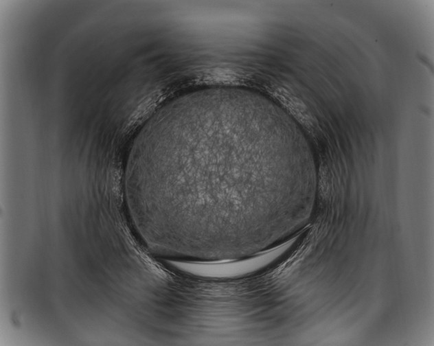 X0000097470449200802291315