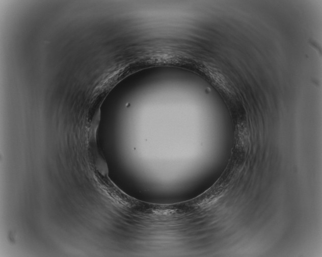 X0000097470450200802291315