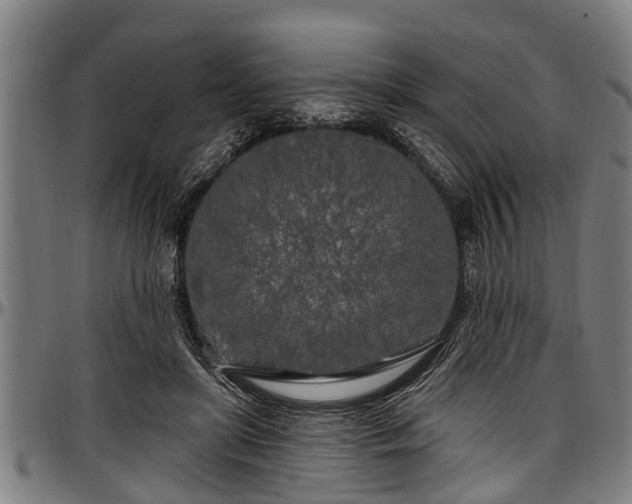X0000097470451200802291315